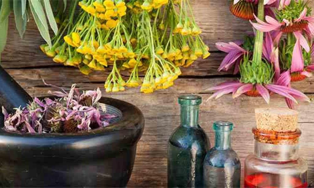 22 βότανα και οι φαρμακευτικές τους ιδιότητες